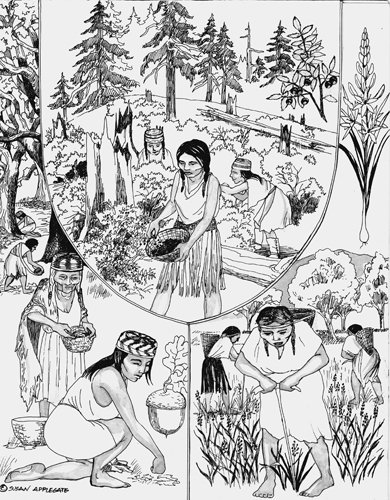 Kalapuya