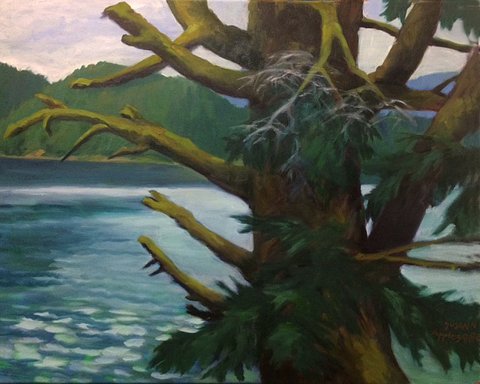 Spruce Along the Umpqua