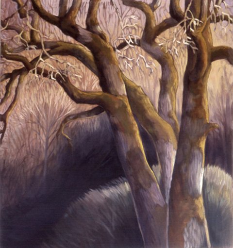 Oak Dance