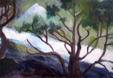 Shasta's Water