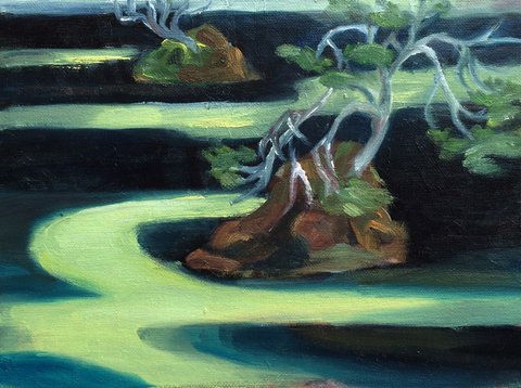 Lake Halos