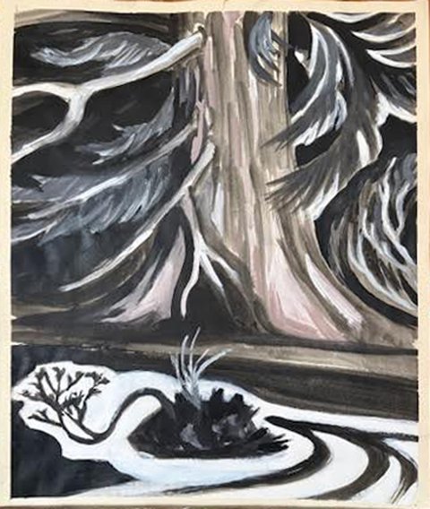 Cedar and Island Study