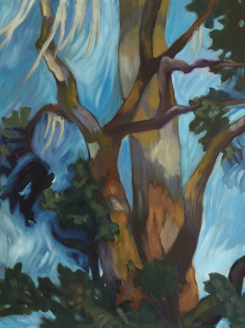 Oak and Air