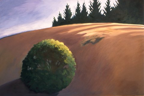 White Oak on Sheep Hill