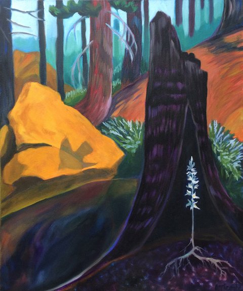 Continuum of Renewal-Boulder Creek Wilderness