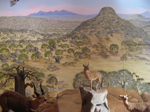 Hoppy's Mural