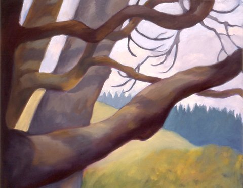 Reaching Across Summer