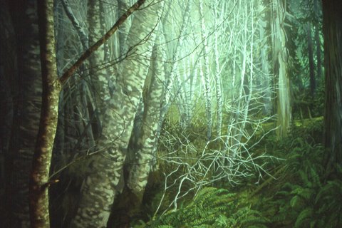 Douglas County Museum Mural