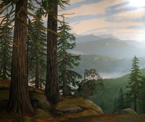 David Douglas diorama, Douglas County. Museum