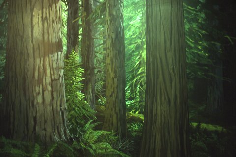 Douglas County Museum Nat. Hist. diorama