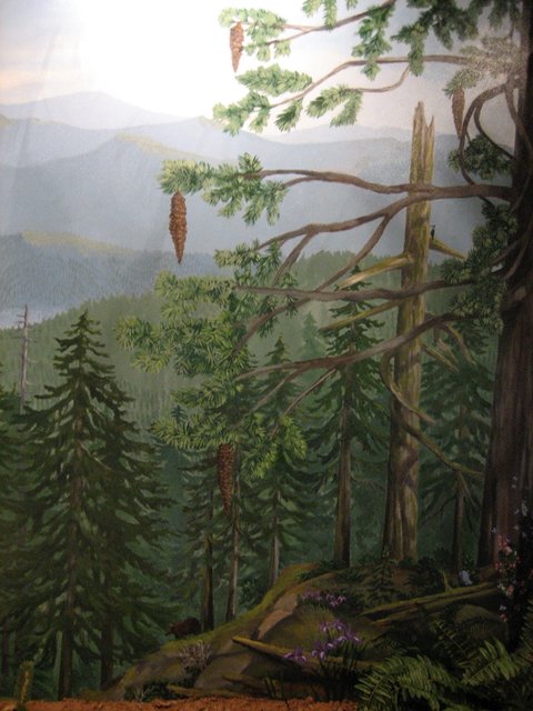 David Douglas Mural