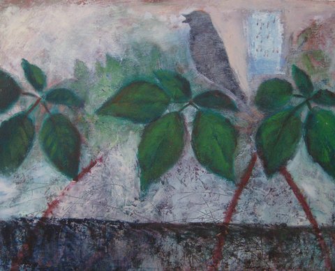 Winter Blackberry Song