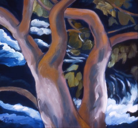 Susan Creek