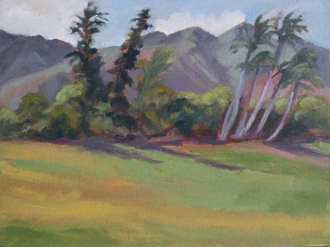 Maka' lea Polo Field -S
