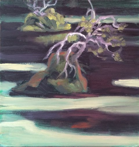 Lake Study 2