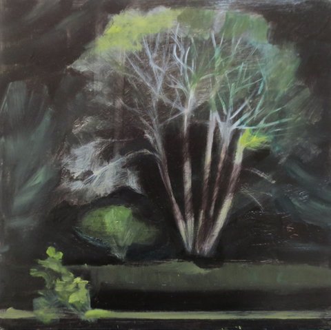 Lake Study 1